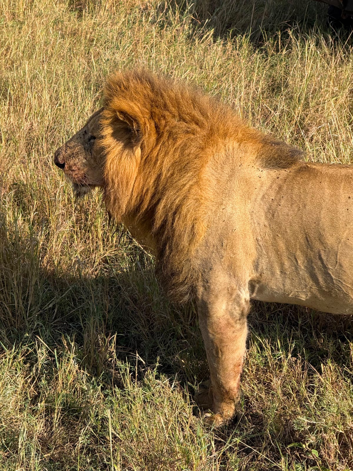 Maasai Mara National Reserve
