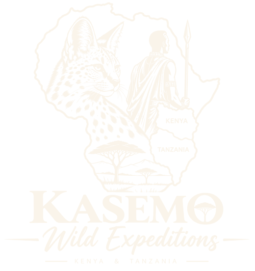 Kasemo Wild Expeditions
